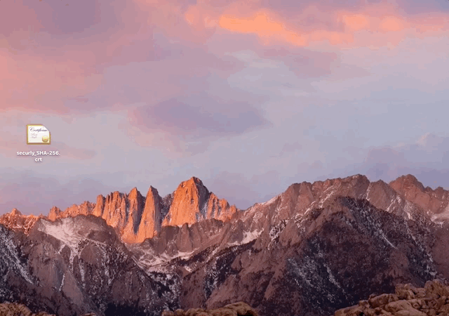 trust ca cert